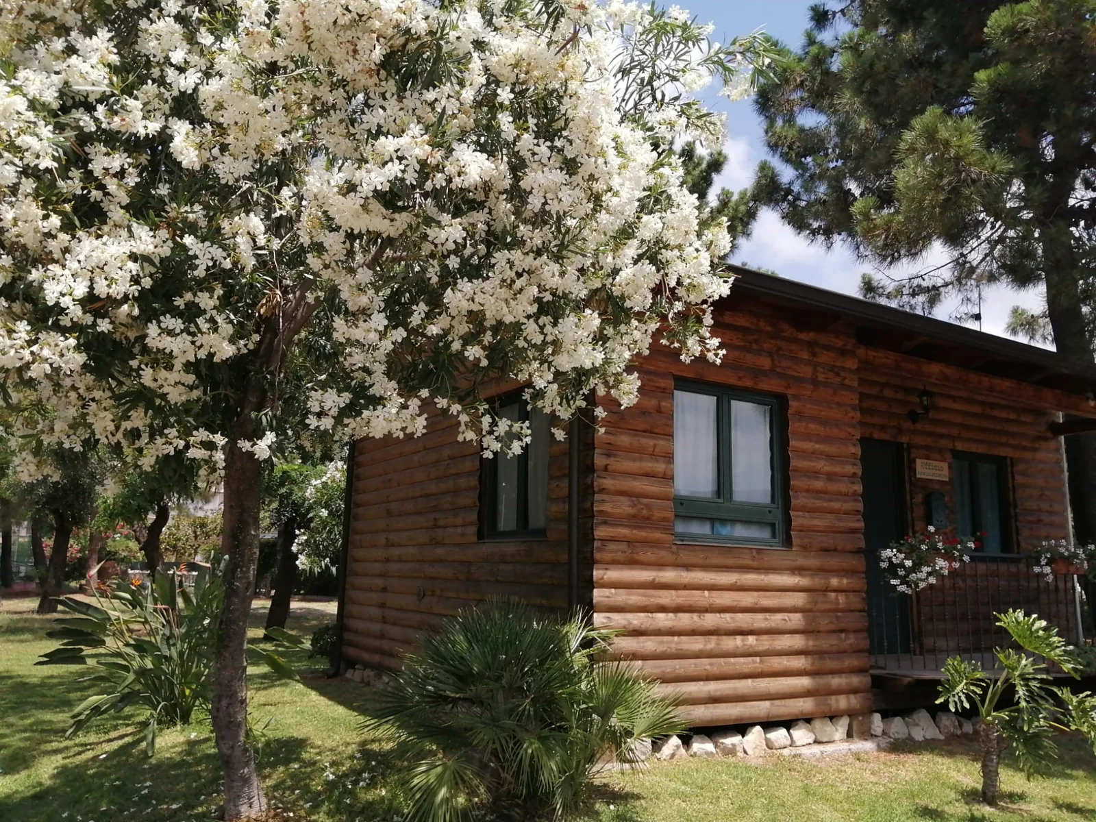 Reception of Villaggio Nuova Temesa surrounded by greenery